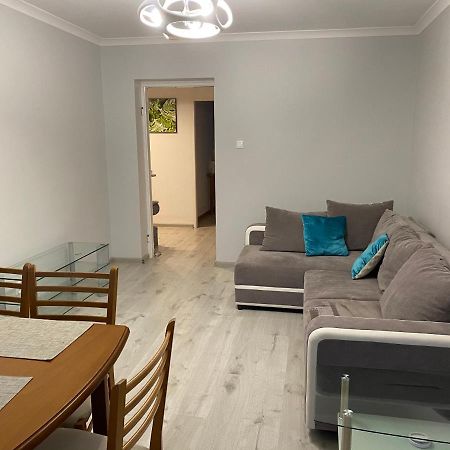 Apartament Przy Katedrze Гожув-Велькопольски Экстерьер фото