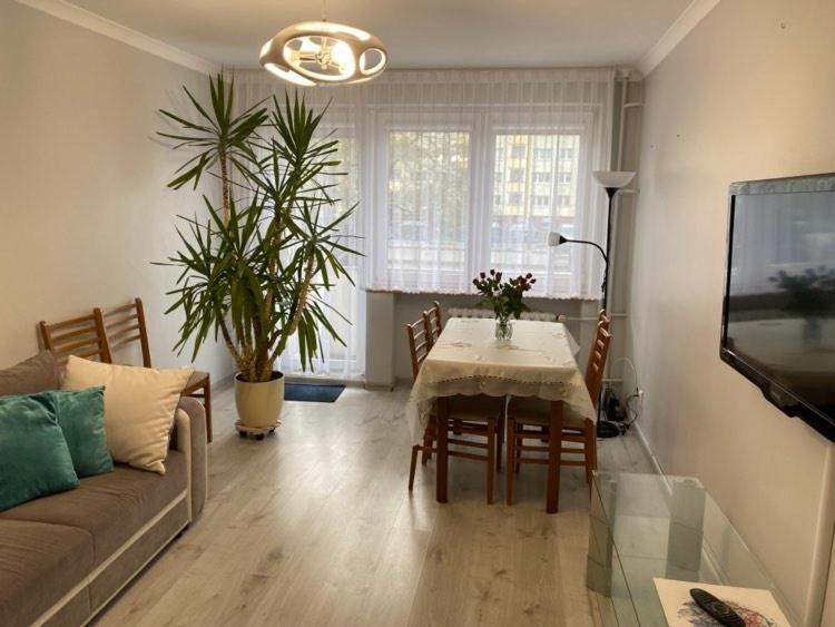 Apartament Przy Katedrze Гожув-Велькопольски Экстерьер фото